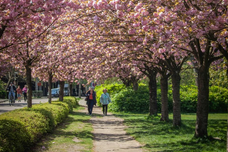 Provinciedomein Rivierenhof, Antwerpen © Kamilla Isalieva / Unsplash