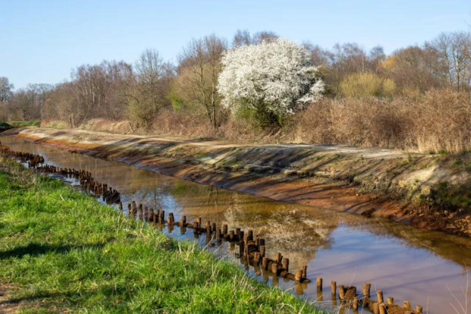 Oeverherstel van de Vrouwvliet. © Antea Group