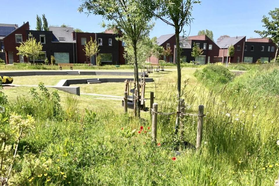 Zitelementen in het Maaike Kerrebroeckpark, Brugge. Dit project won de Groenaannemer-award 2024 © Katrien Verhaegen