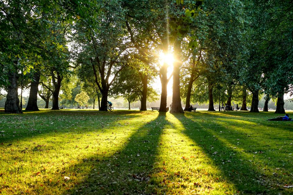 Hyde Park, Londen © V2F Unsplash
