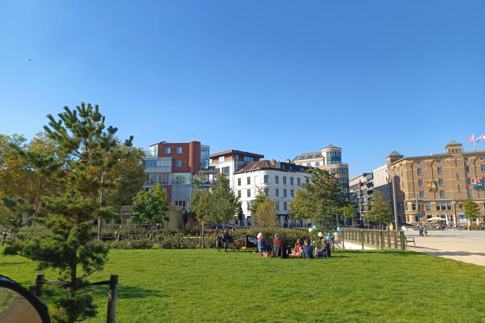 Grasweide Schippersdok © ruimtereporter