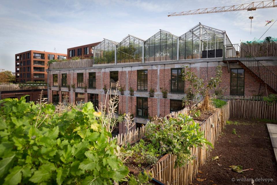 De stadsboerderij PAKT in Antwerpen © Commons Lab