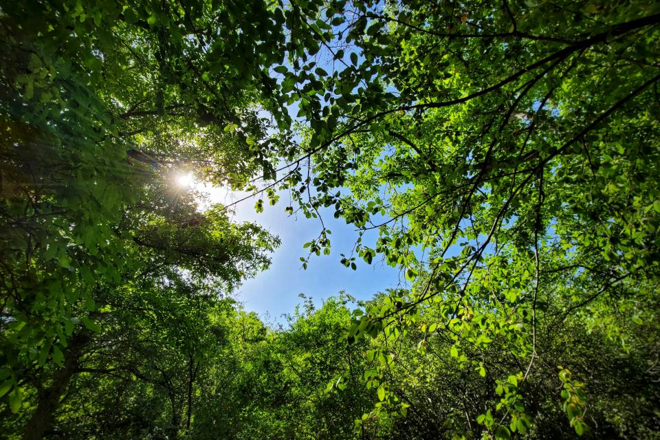 Illustratiebeeld © Ibrahim Ahmed / Unsplash