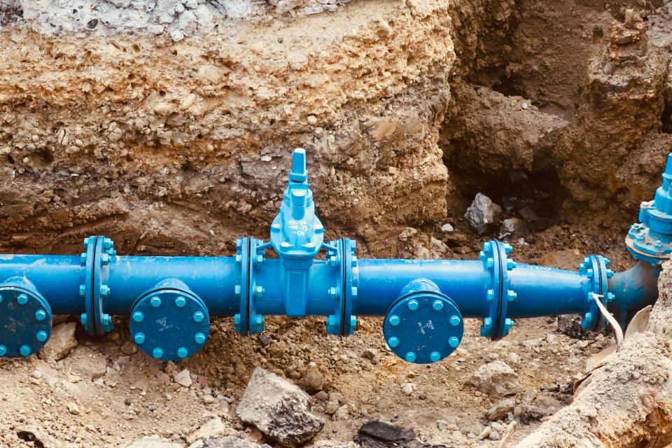 Illustratiebeeld © Rose Galloway Green