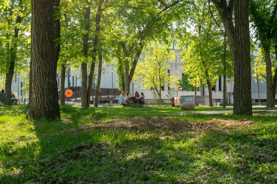 Bezoekers die de omgeving als ‘natuurlijker’ ervoeren en meer vogels opmerkten, rapporteerden een hoger gevoel van rust, herstel en positieve emoties. © Gabriel Ogulu
