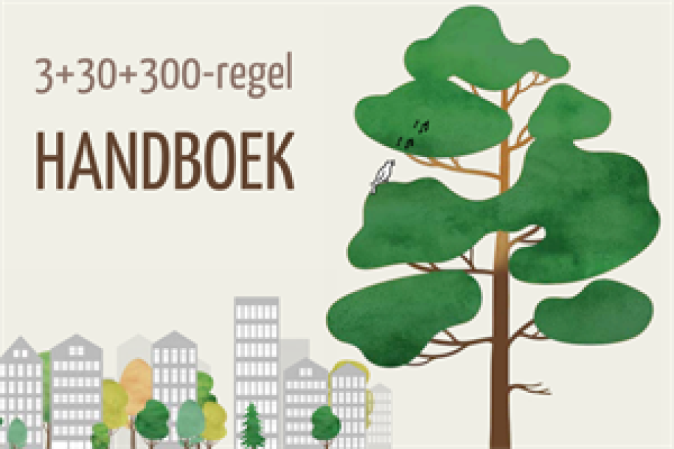 Cover van het Handboek 3+30+300