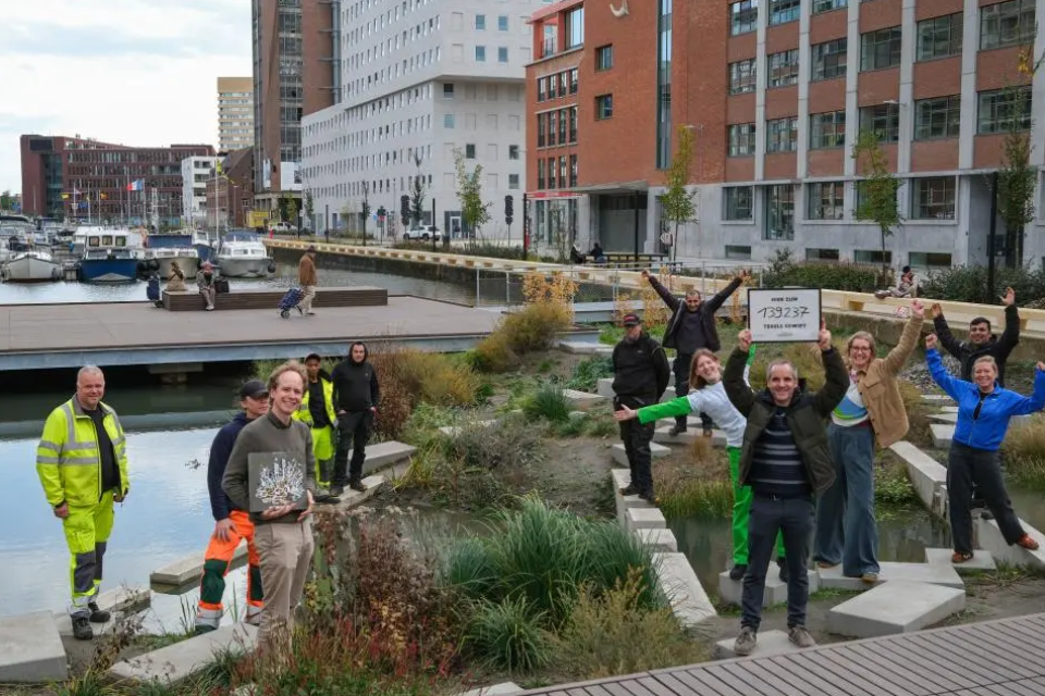 Tegelwippers in actie © Departement Omgeving