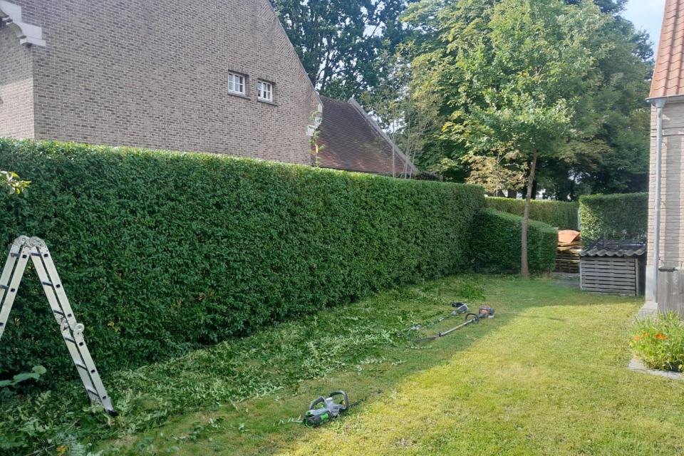 Scheren haag