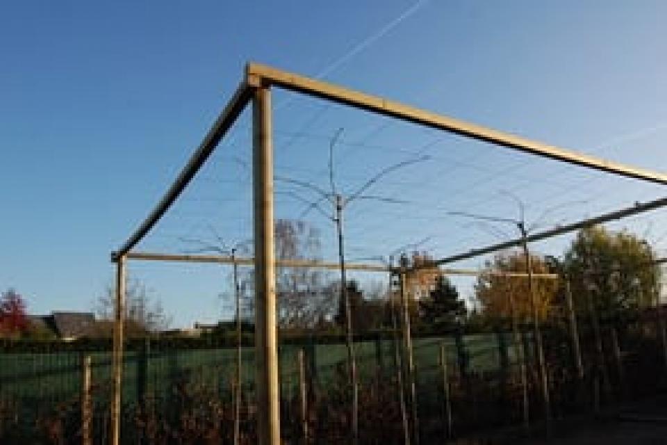 2011%2520-%252010%2520-%2520Bouw%2520-%252030%2520november%2520-%252003.jpg