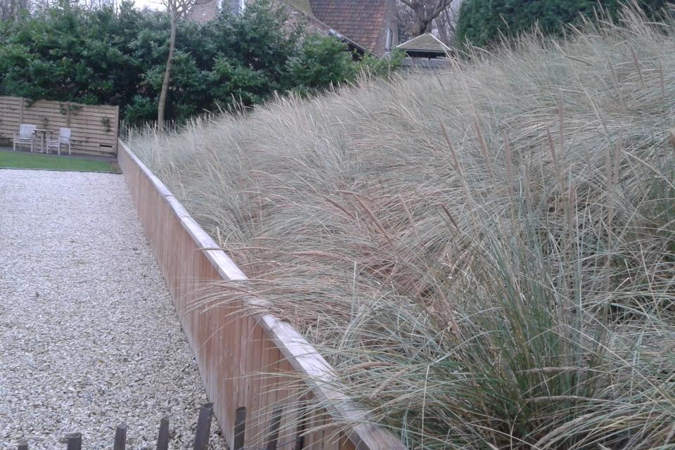 20131108_153325.jpg