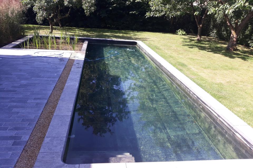 Zwemvijver