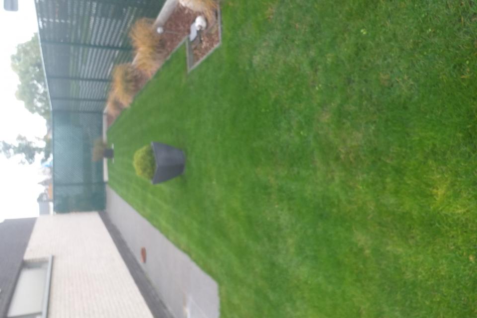 20201025_130751.jpg
