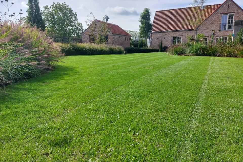 renovatie gazon, bemesting & inzaaien