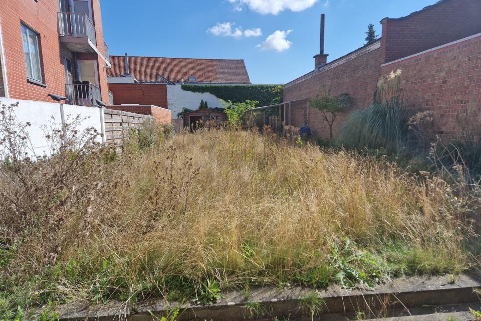 verwilderde tuin (voor)