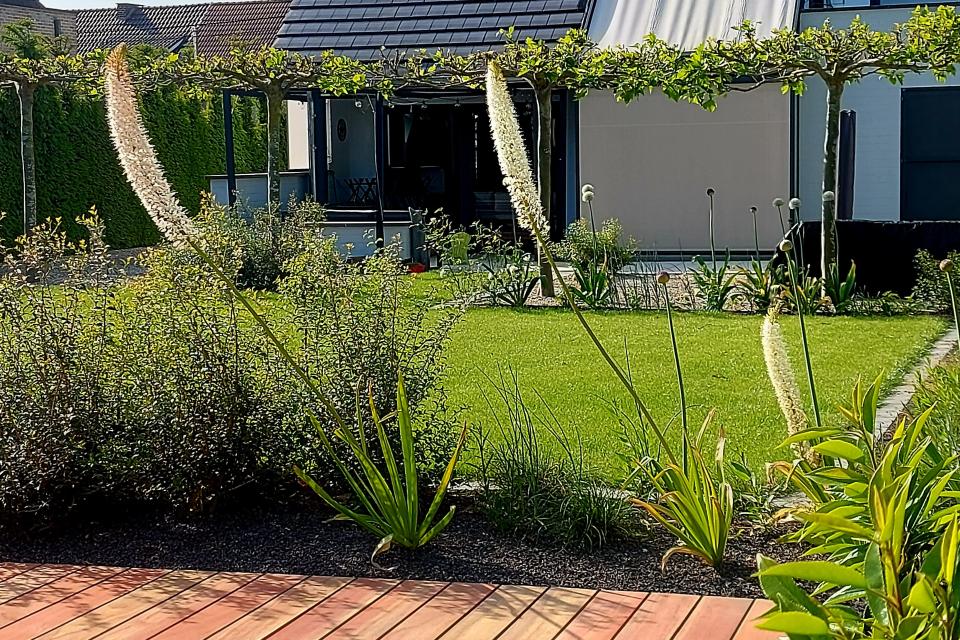 aanleg tuin / terras Padoek