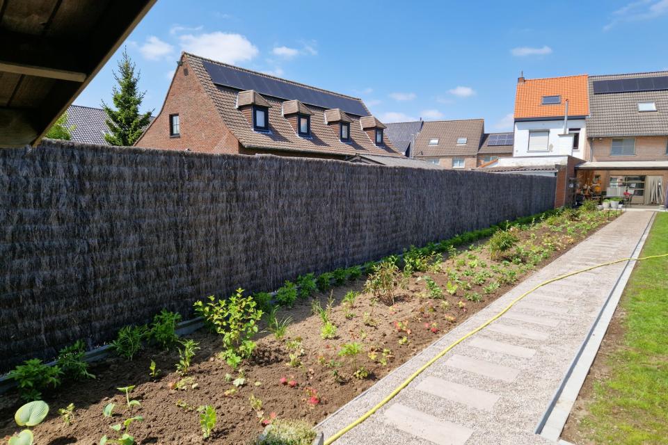 aanplanting