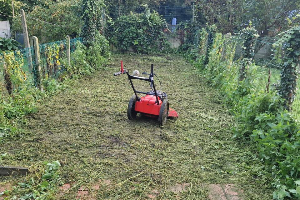 maaien verwilderde tuin (na)