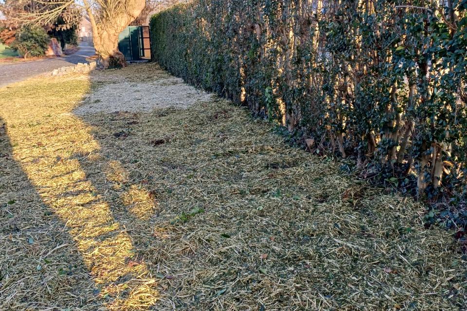 Snoeiwerk en hakselen 