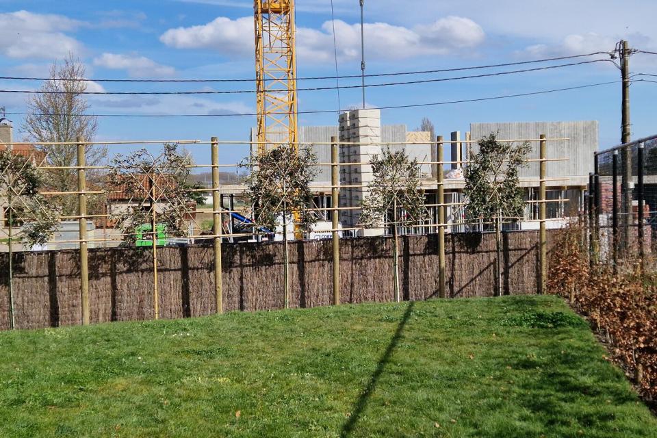 plaatsen leibomen+constructie