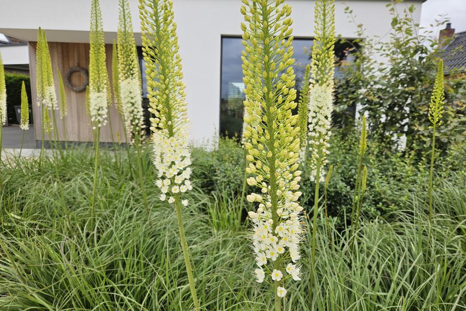 Voortuin Retie