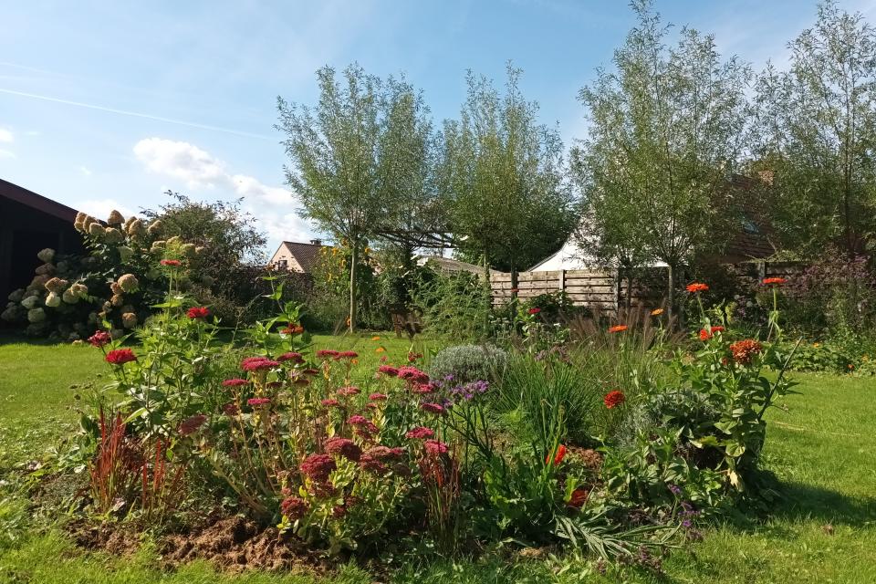 Wilgenpergola & bloemenborders