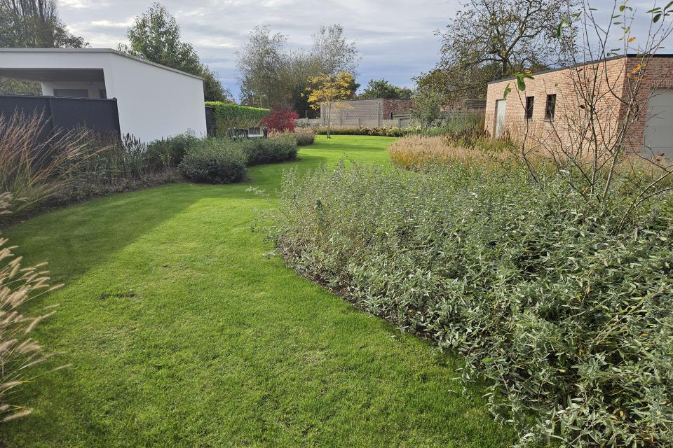 Achtertuin Olen