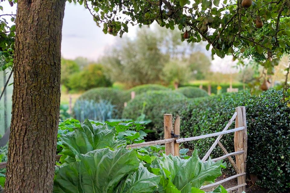 Secret garden