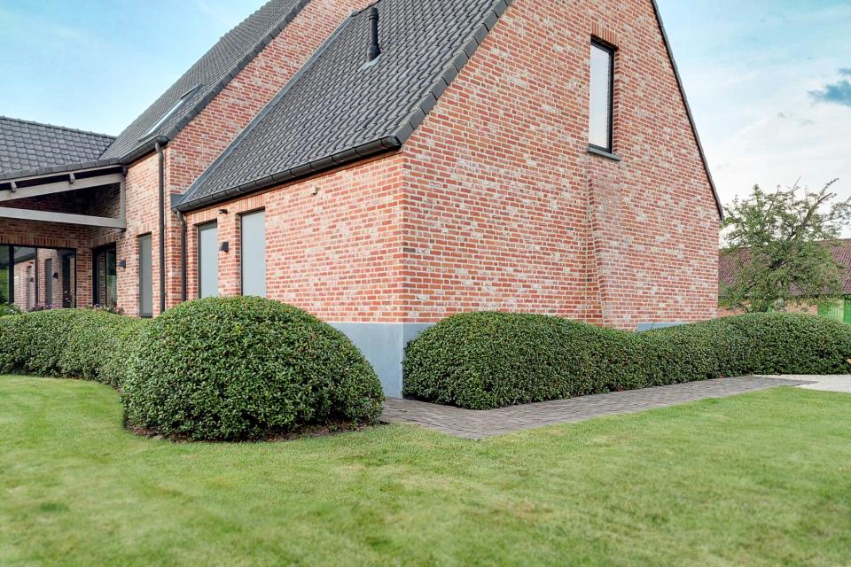landelijke tuin