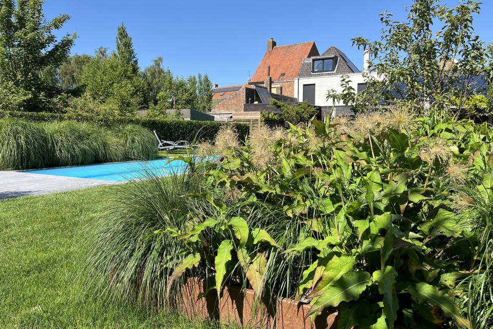 Vakantie in eigen tuin