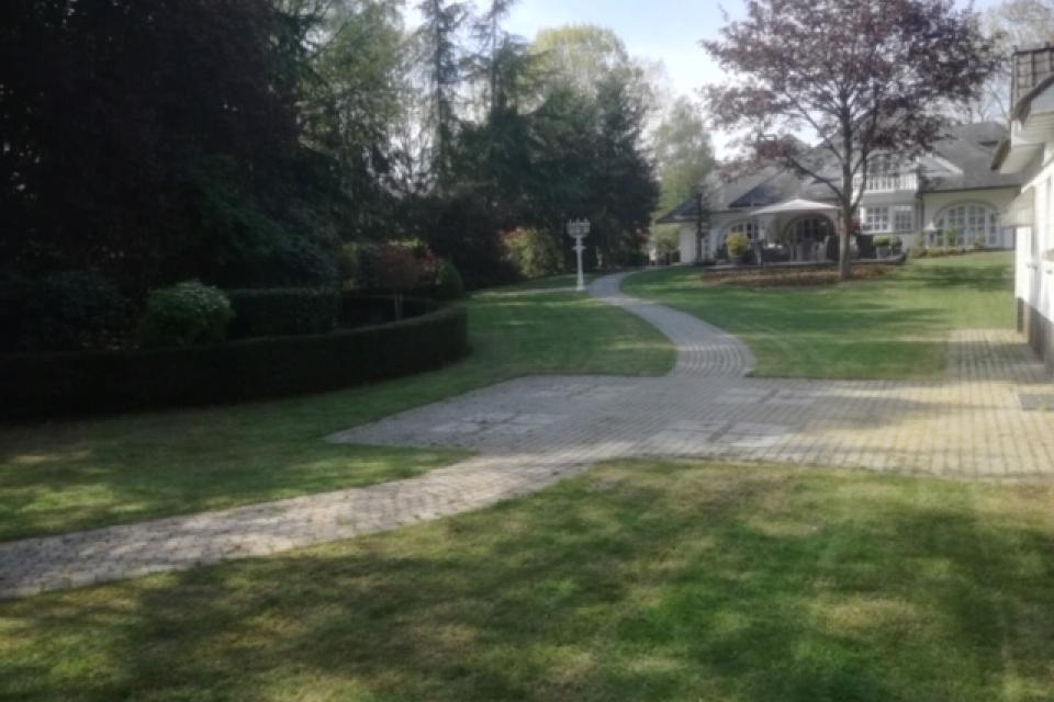 Onderhoud gras