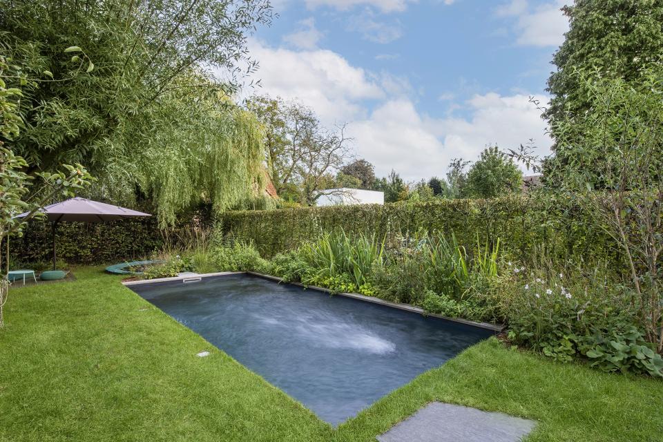 Living Pool Van Biotop