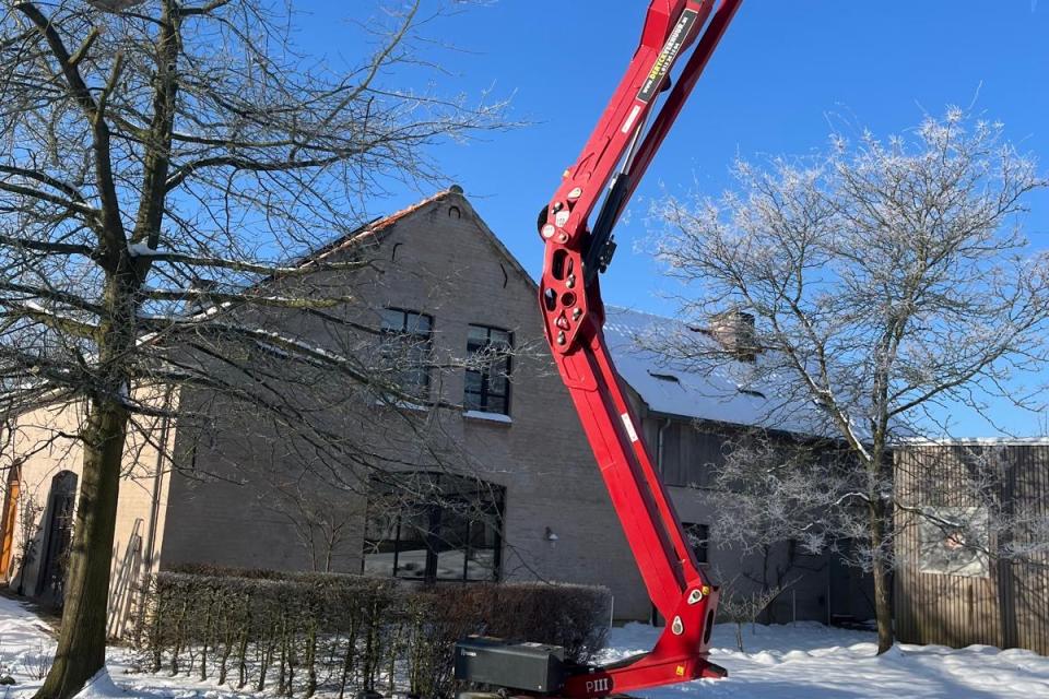 Boom snoeien met hoogtewerker