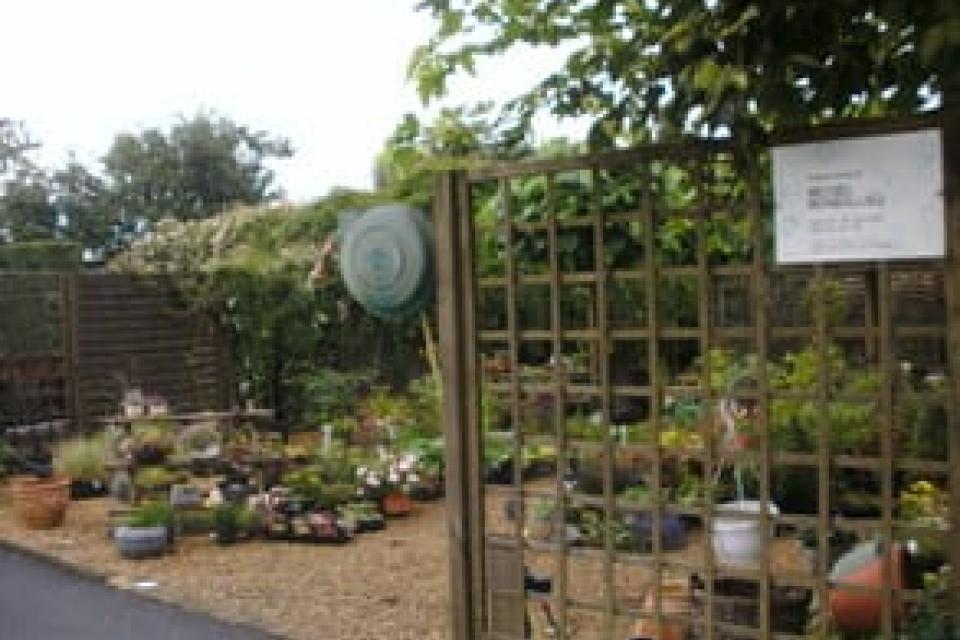 verkoop van tuinplanten