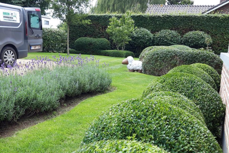 Ongedierte preventieservice ( ratten, muizen, vliegen,mieren, wespen, zilvervisjes, kakkerlakken, krekels,...)