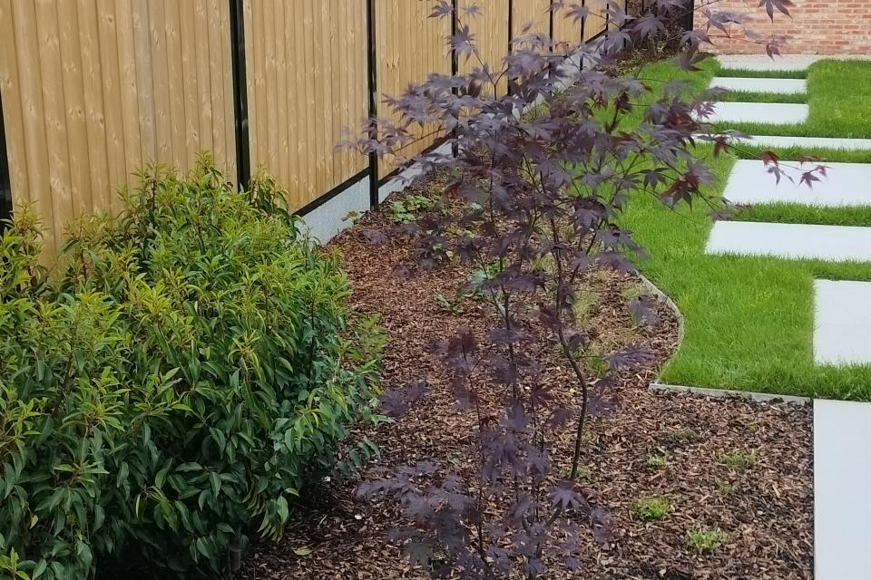 aanplanting ahv tuinplan