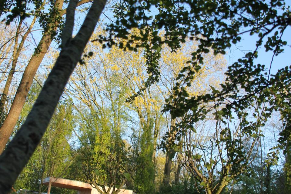 IMG_0678.JPG