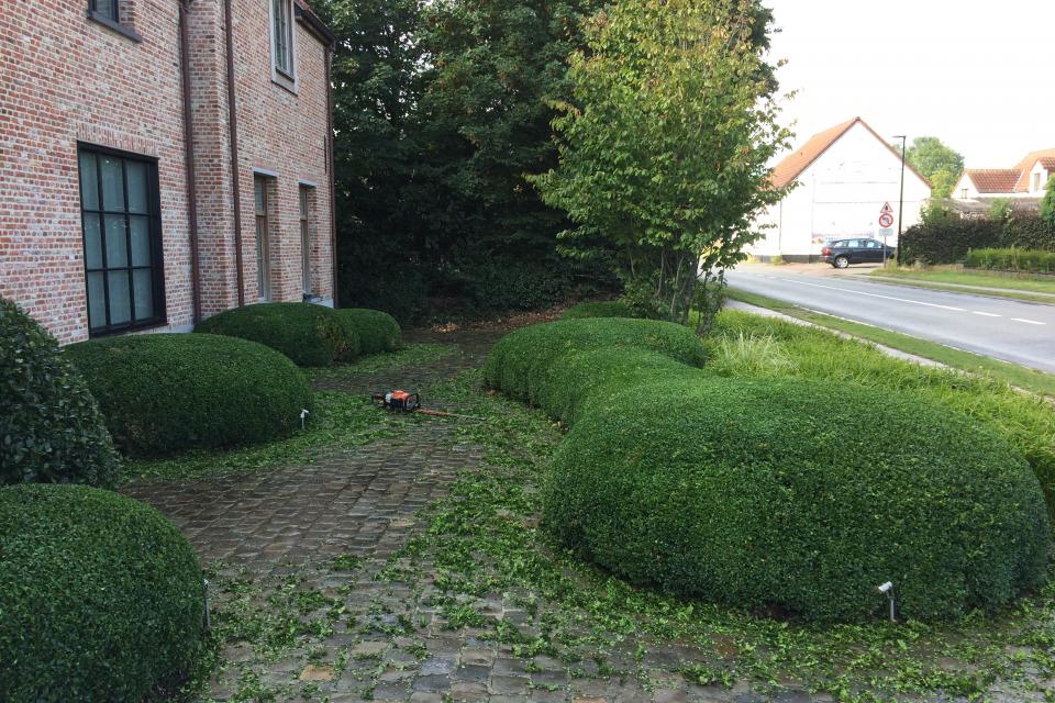 Onderhoud