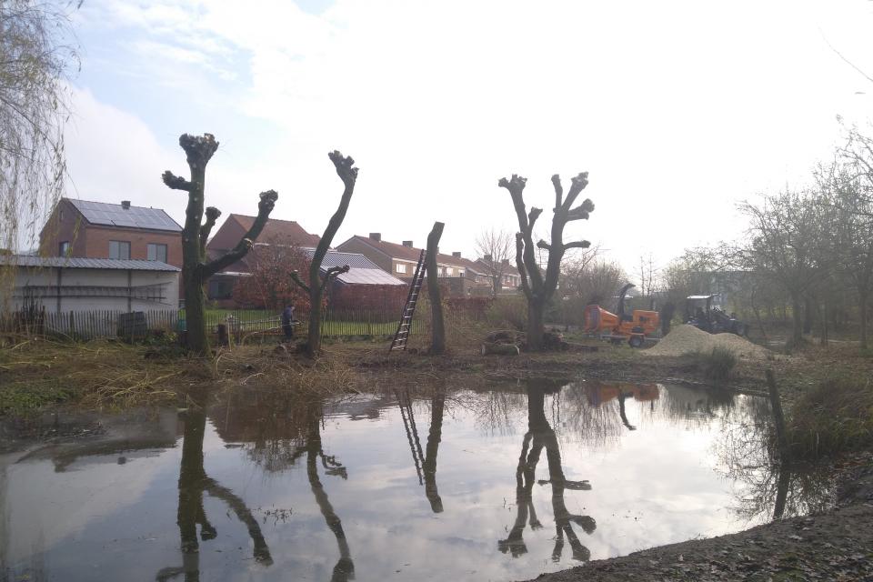 Snoeiwerk Zwevezele