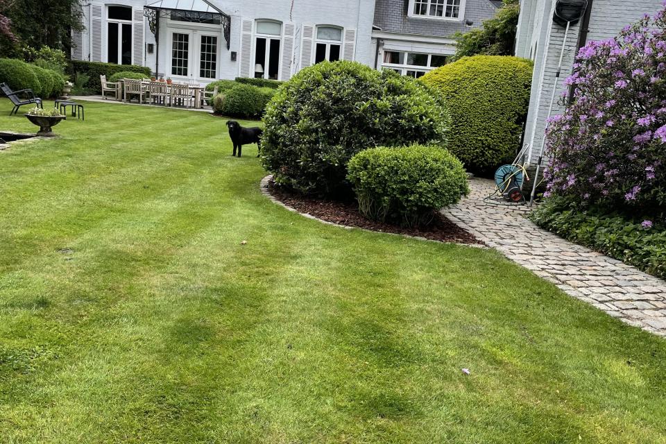 Onderhoud en aanplant