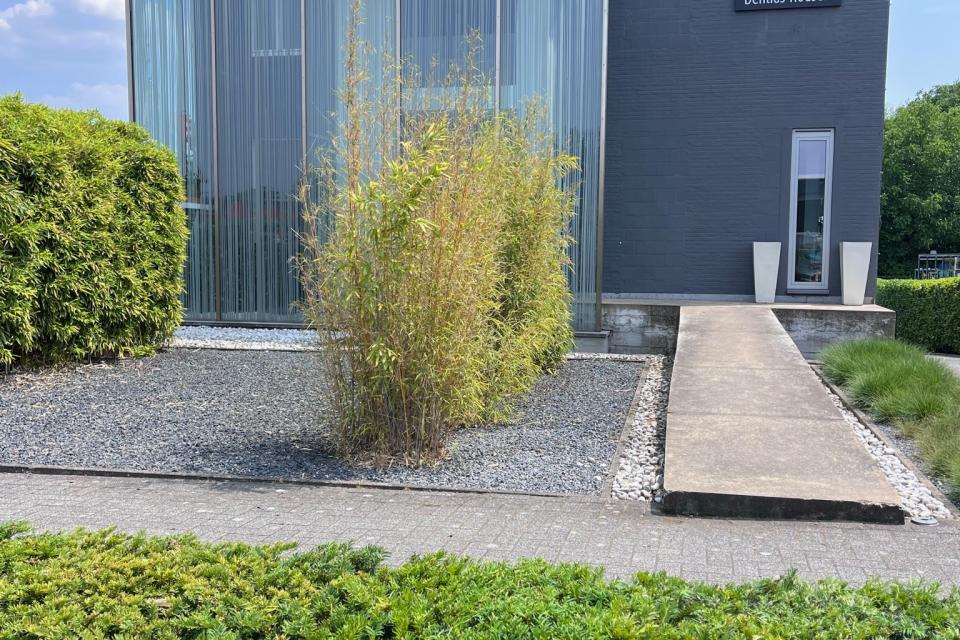 Onderhoud en snoei bedrijf