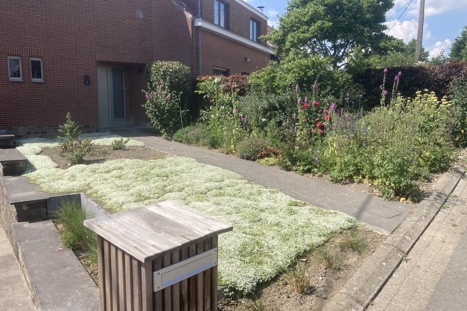 Aanplanting voortuin