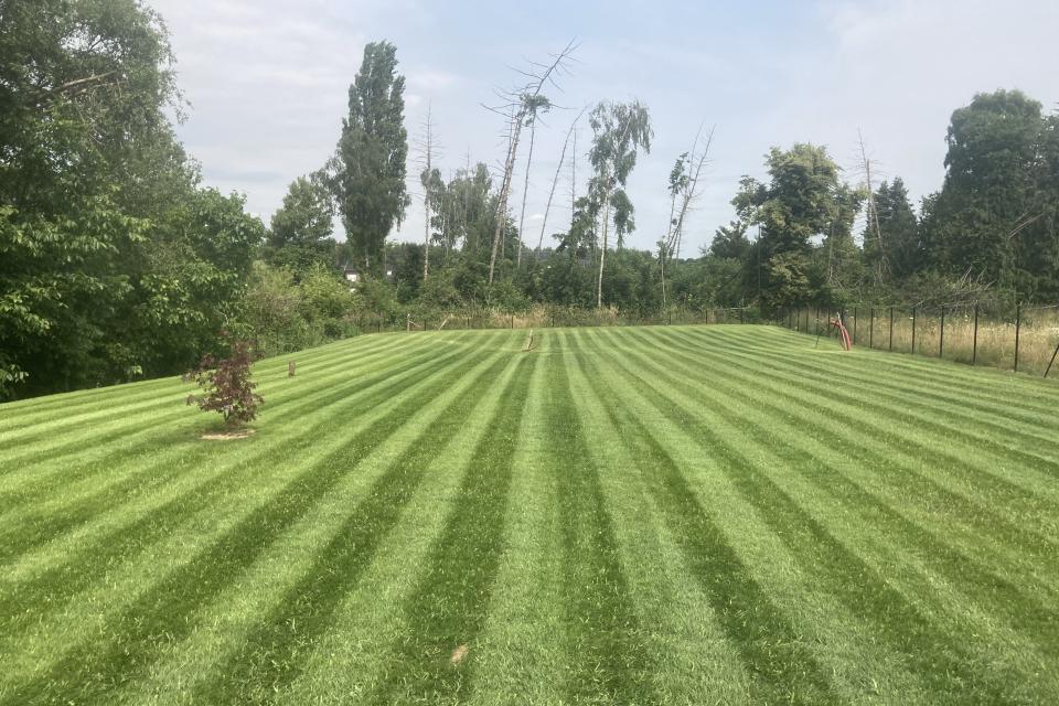 Gras maaien