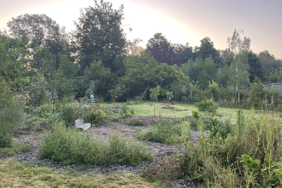 Aanvang voedselbos
