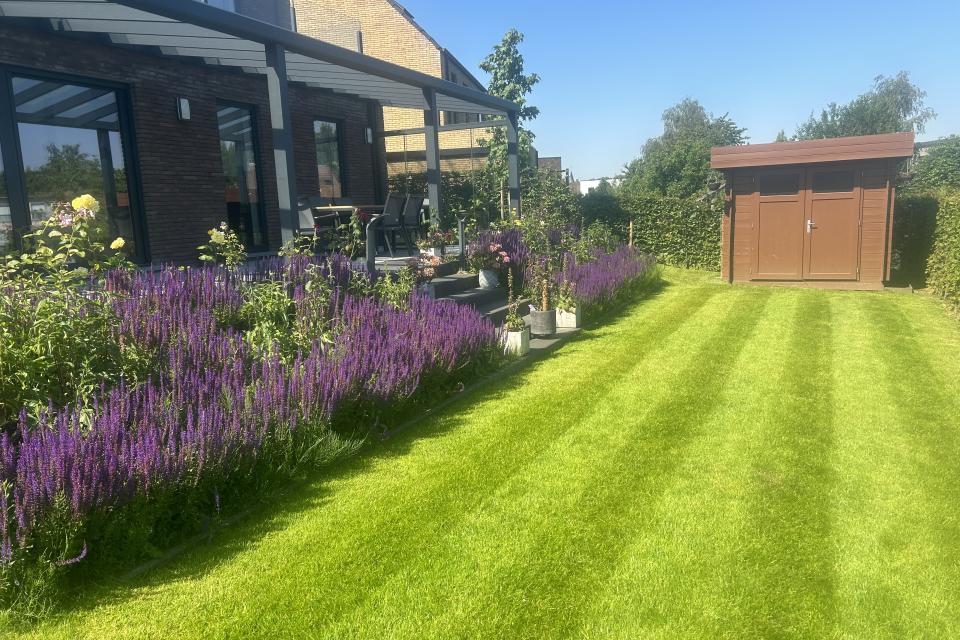 Foto na aanplanting en gazonaanleg