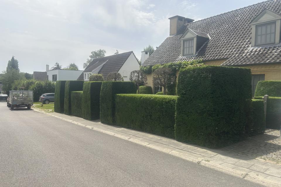 Hagen snoeien