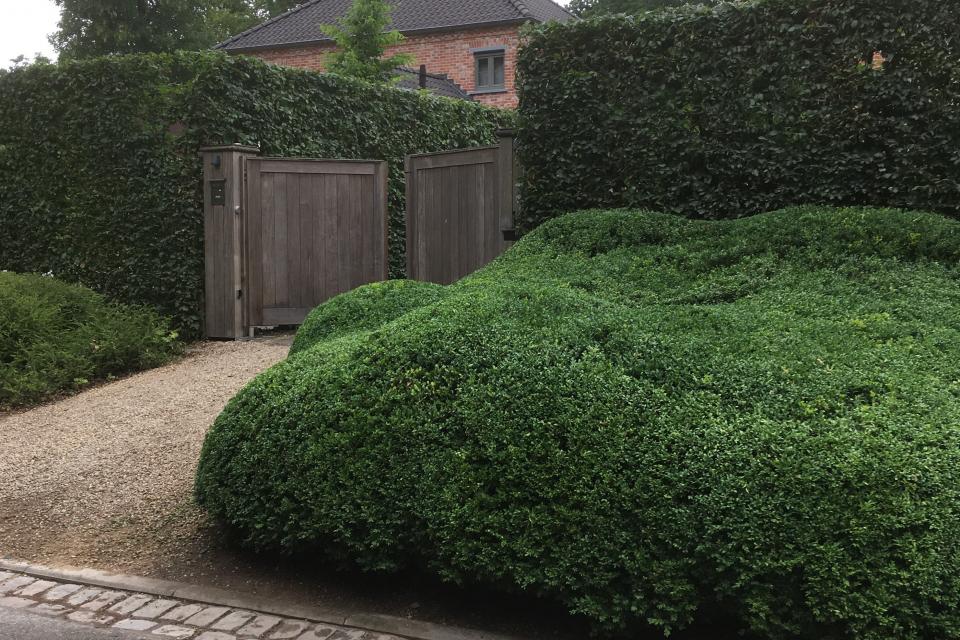 Tuin te Temse