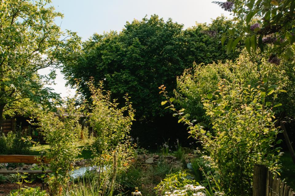 Aardig Ecodesign