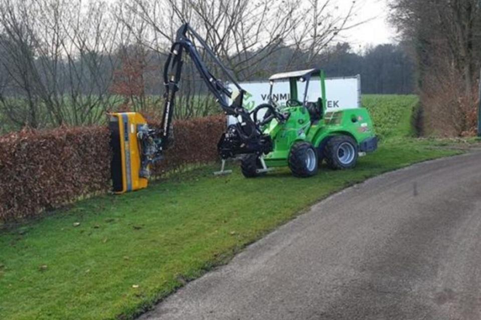 Mulchsnoeien van beuken hagen te Genk.