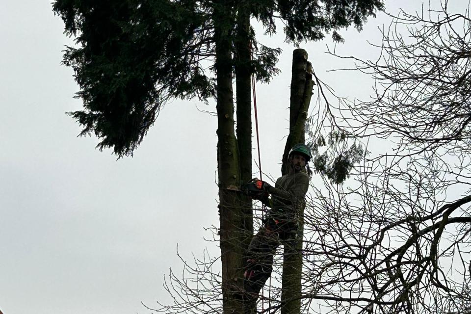 BOMEN Vermeersch