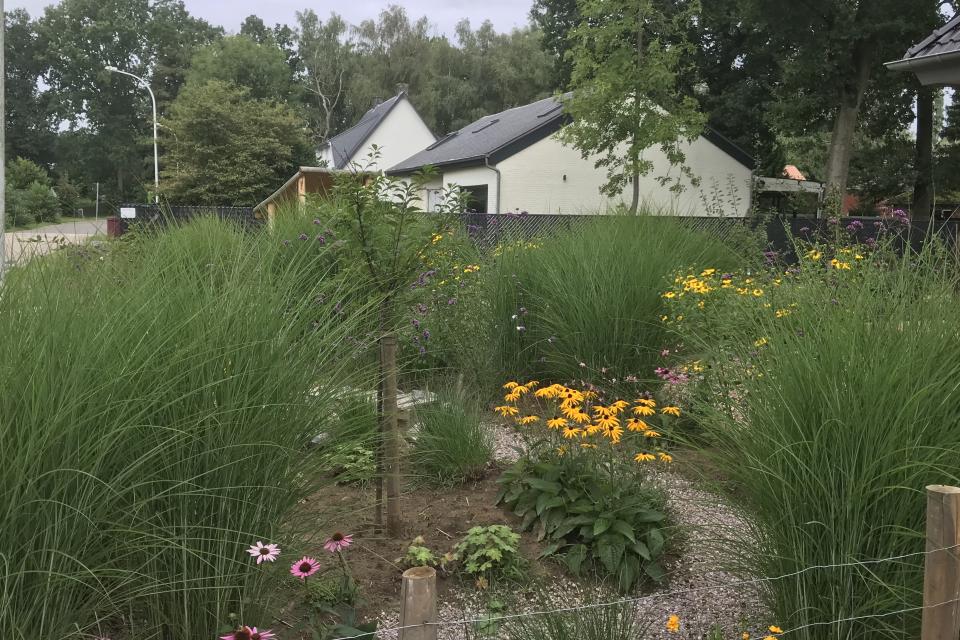 Frontaal aanzicht van de tuin in het eerste groeiseizoen.